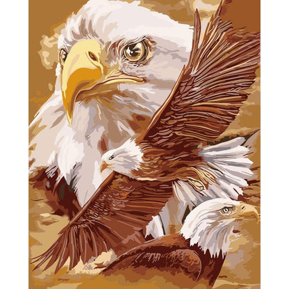 Eagle Trio Paint By Numbers Canvas Art