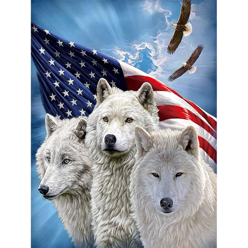 Patriotic Wolves Paint By Number Kit