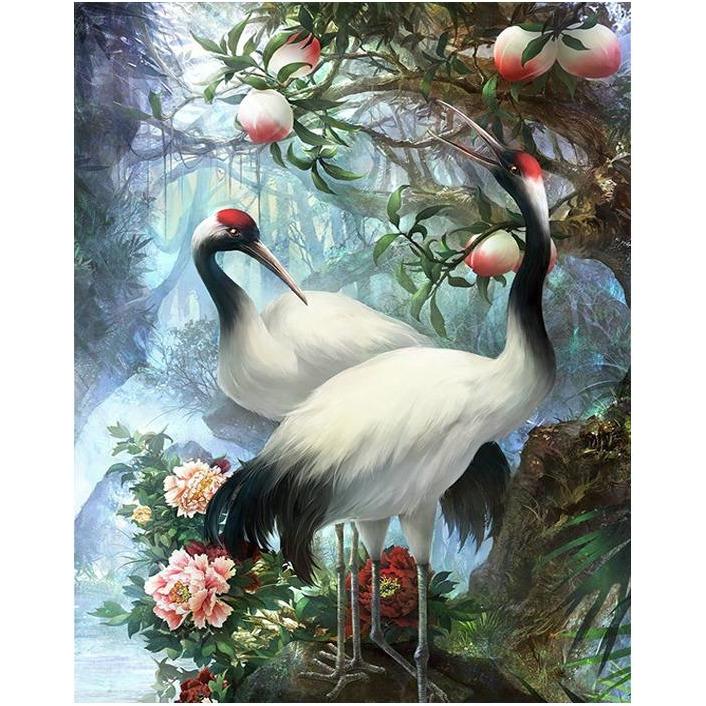 Beautiful Birds - DIY Painting By Numbers Kit