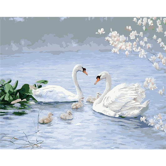 Two Gorgeous Swans - DIY Painting By Numbers Kit