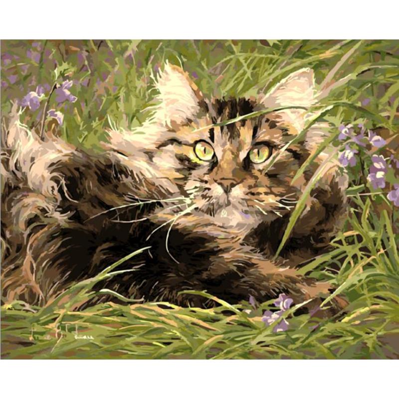 Grass Kitty - DIY Painting By Numbers Kit