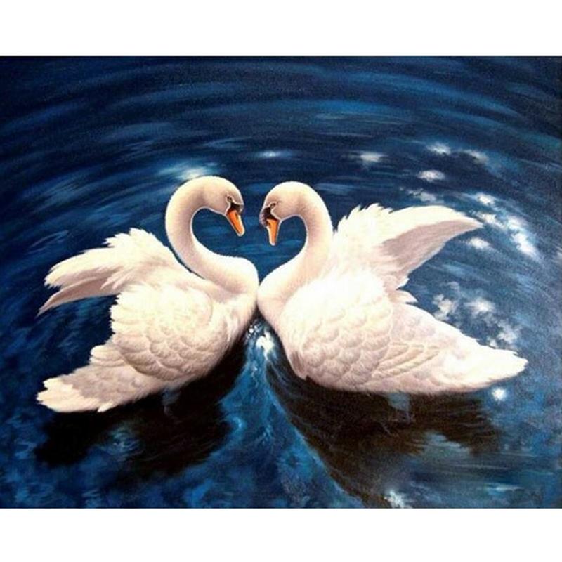 Dancing Swan - DIY Painting By Numbers Kit