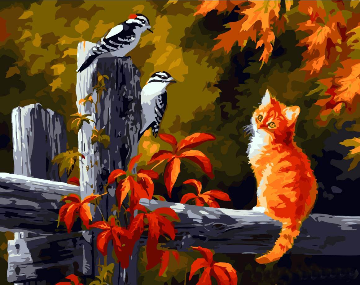 Kitten And Birds - DIY Painting By Numbers Kit