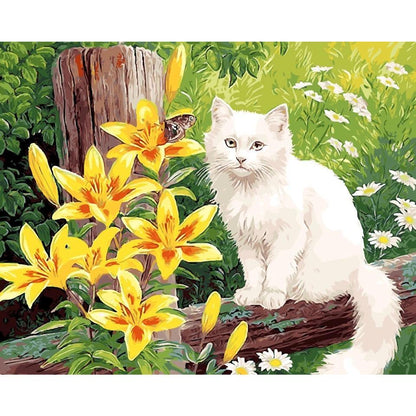 Cute White Cat - DIY Painting By Numbers Kit