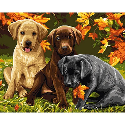 Three Puppies - DIY Painting By Numbers Kit