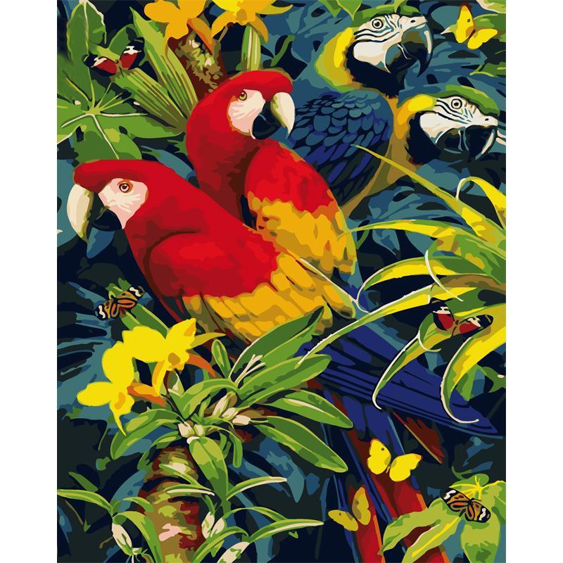 Incredible Parrots - DIY Painting By Numbers Kit