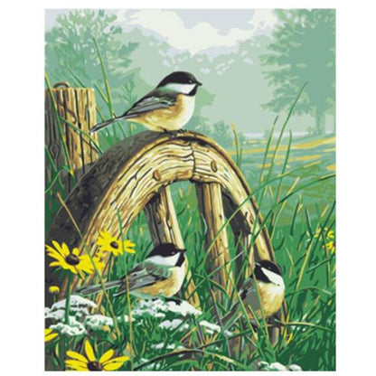 Bird on a Wheel - DIY Painting By Numbers Kits