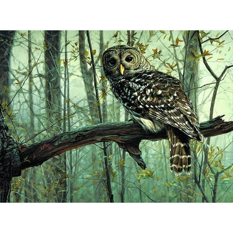 Owl On a Tree - DIY Painting By Numbers Kits