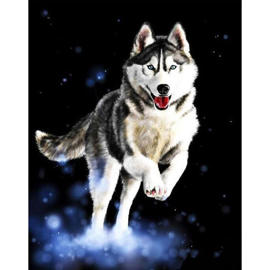 A Happy Husky - DIY Painting By Numbers Kit