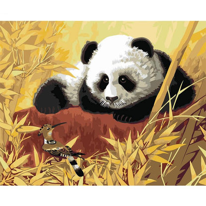 Panda and Kingfisher - DIY Painting By Numbers Kit