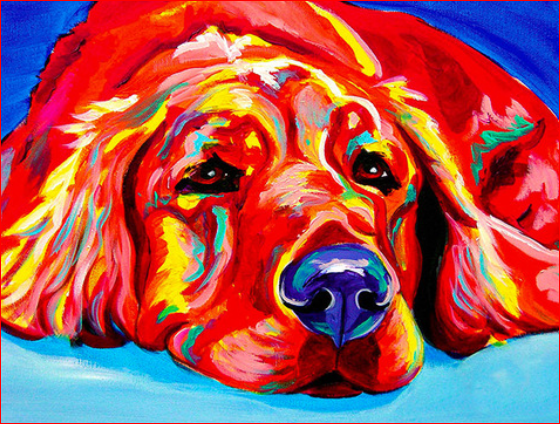 Sleepy Dog Colors - DIY Painting By Numbers Kit