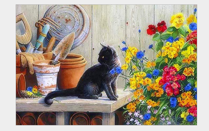 Cat In The Garden - DIY Painting By Numbers Kit