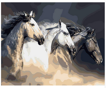 Horse Trio - DIY Painting By Numbers Kit