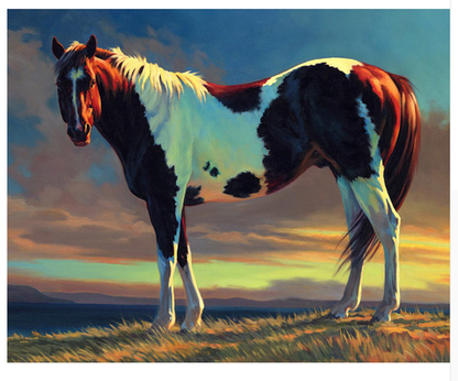 Horse On The Hill - DIY Painting By Numbers Kit