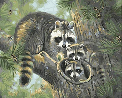 Raccoon Family - DIY Painting By Numbers Kit