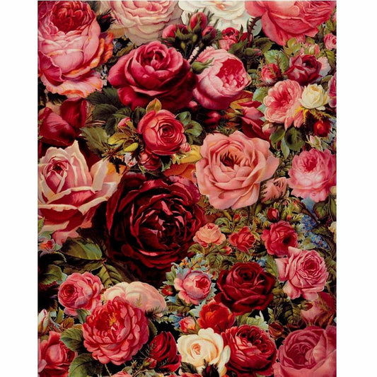 Different Roses - DIY Painting By Numbers Kit