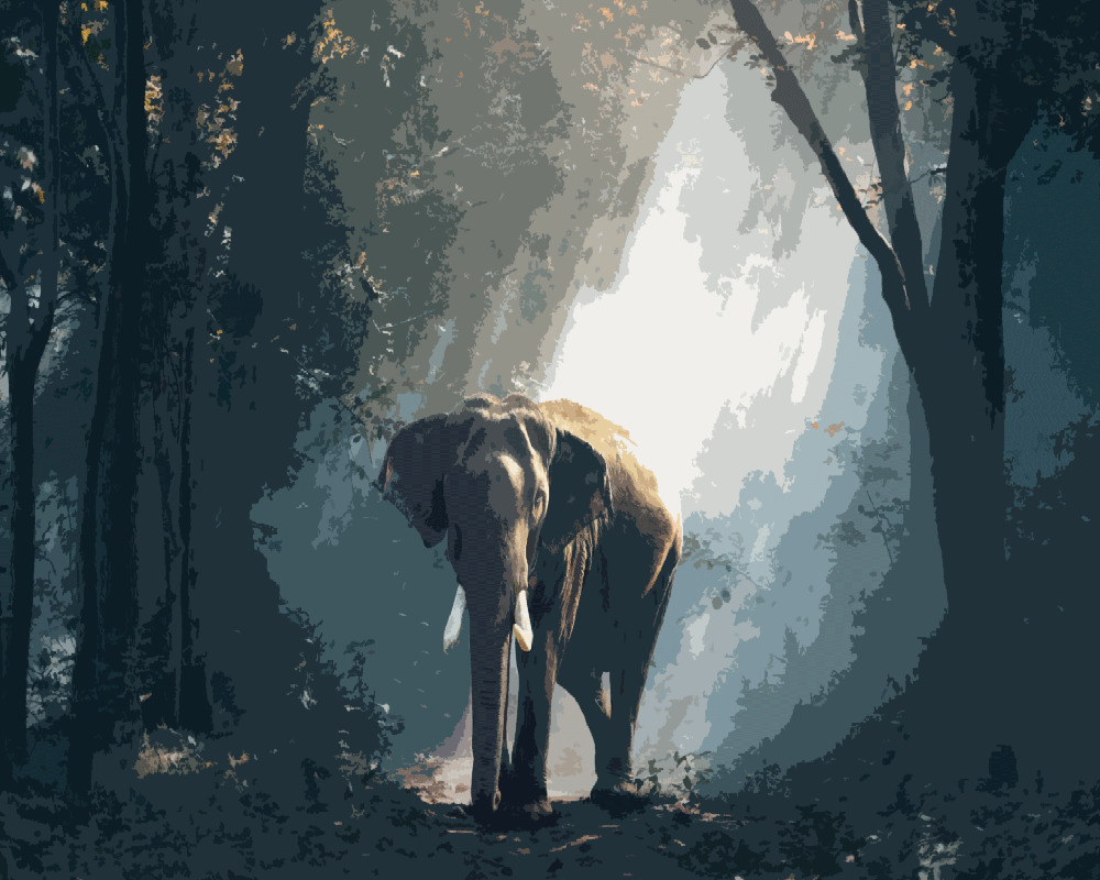 Elephant In The Night - DIY Painting By Numbers Kit