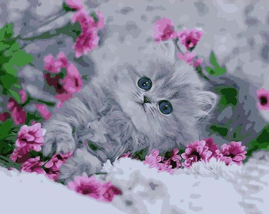 Blue Eyed Kitten - DIY Painting By Numbers Kit