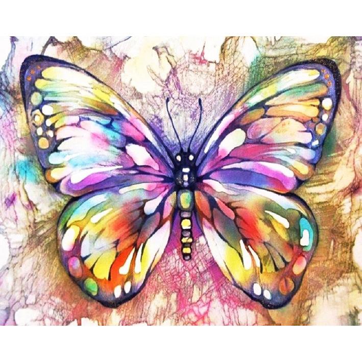 Butterfly Art - DIY Painting By Numbers Kit