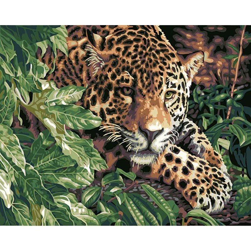 Leopard Stare - DIY Painting By Numbers Kits