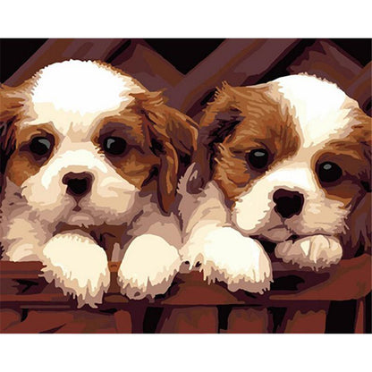 Cute Puppies - DIY Painting By Numbers Kit