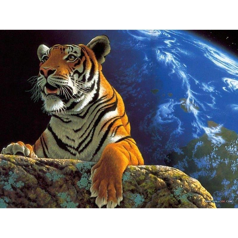 Beautiful Tiger - DIY Painting By Numbers Kits