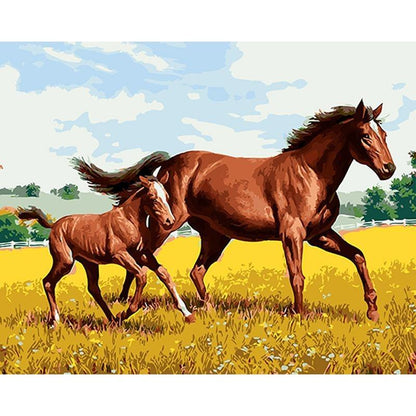 Horse and her Foal - DIY Painting By Numbers Kits