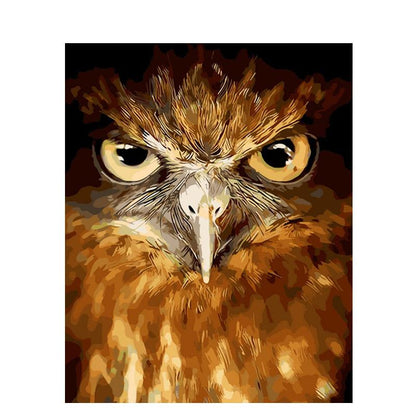 Fierce Eagle Gaze - DIY Painting By Numbers Kit