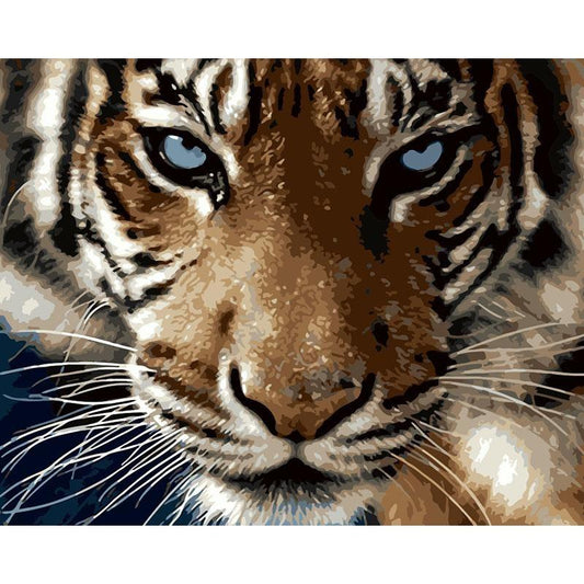 Fierce Tiger - DIY Painting By Numbers Kits