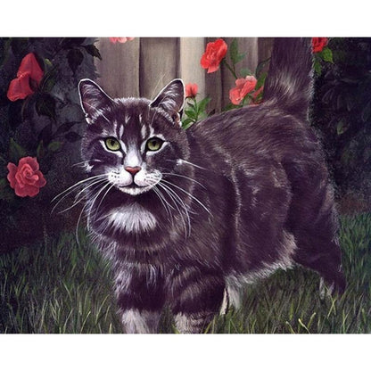 Black Cat - DIY Painting By Numbers Kits