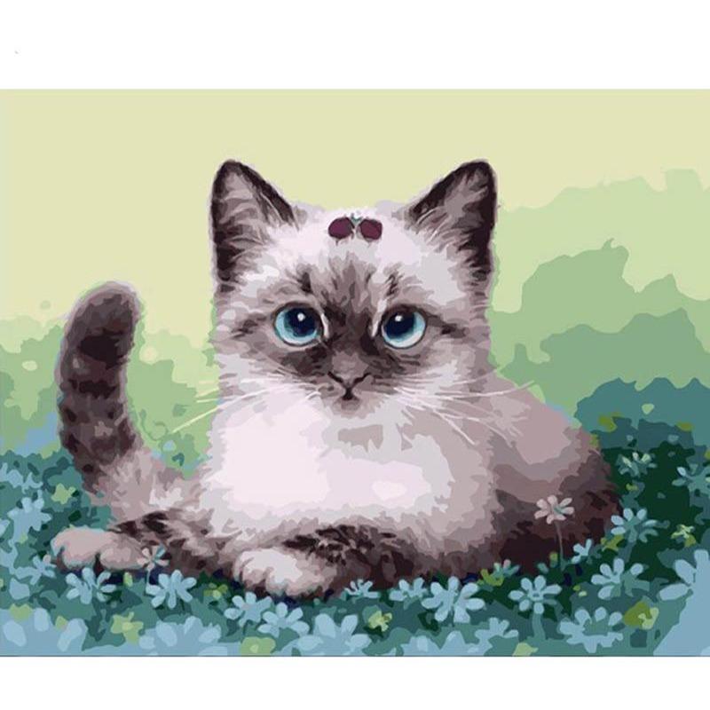 Cute Kitten - DIY Painting By Numbers Kits