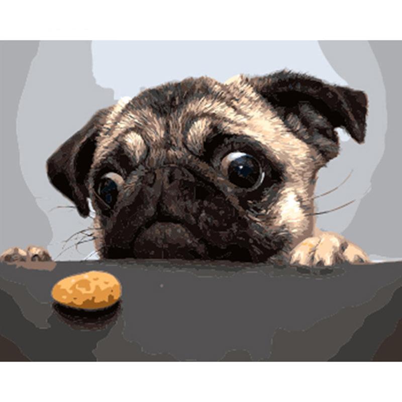 Hungry Pug - DIY Painting By Numbers Kit