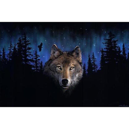 Wolf In The Dark - DIY Painting By Numbers Kit