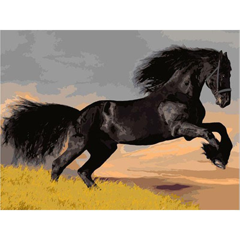 Gorgeous Black Beauty - DIY Painting By Numbers Kits