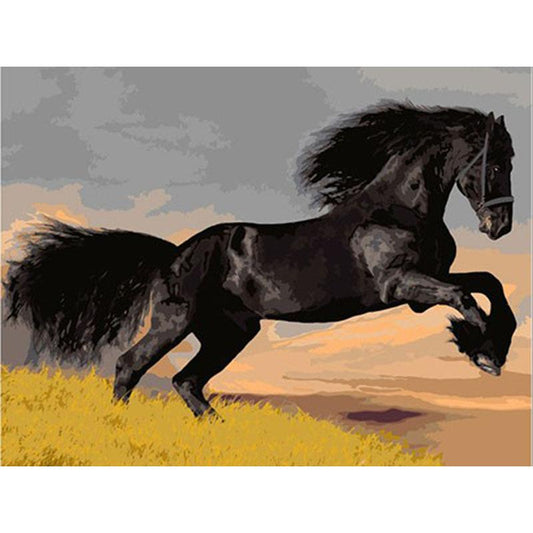 Black Horse - DIY Painting By Numbers Kit