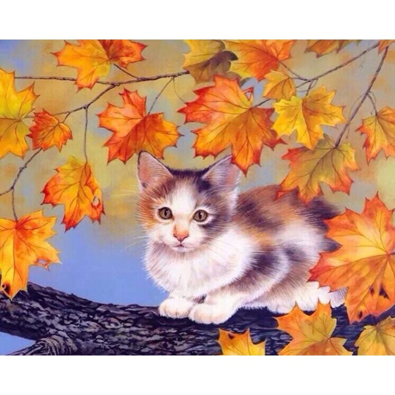 Adorable Kitten - DIY Painting By Numbers Kits