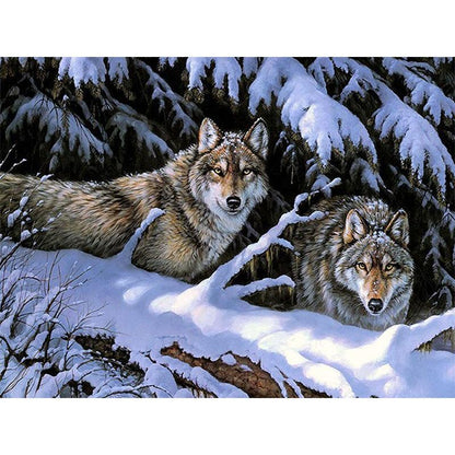 Wolves - DIY Painting By Numbers Kit