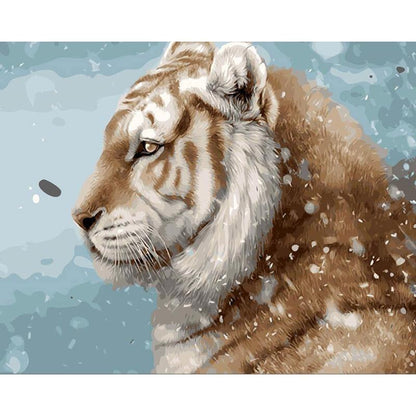 Tiger in the Snow - DIY Painting By Numbers Kits