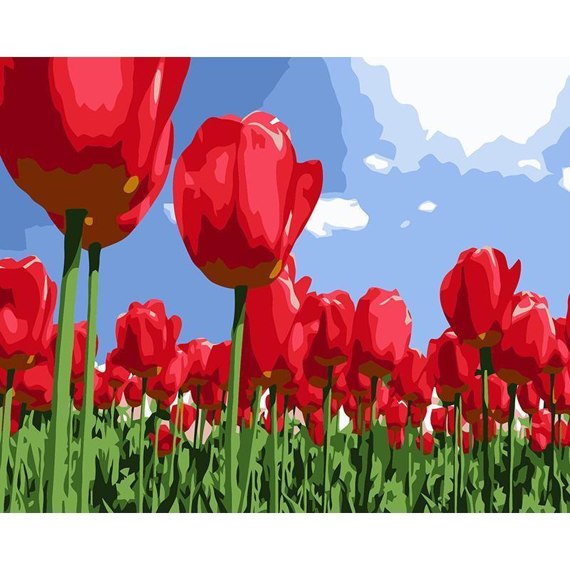 Tulip Garden - DIY Painting By Numbers Kit