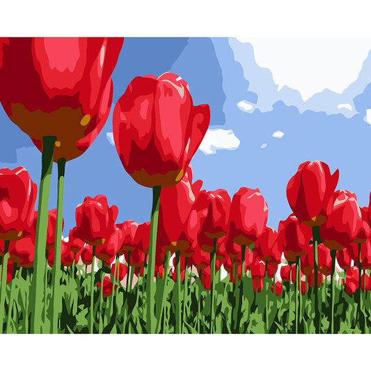 Red Tulips - DIY Painting By Numbers Kit