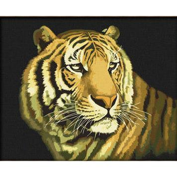 Pulchritudinous Tiger - DIY Painting By Numbers Kit