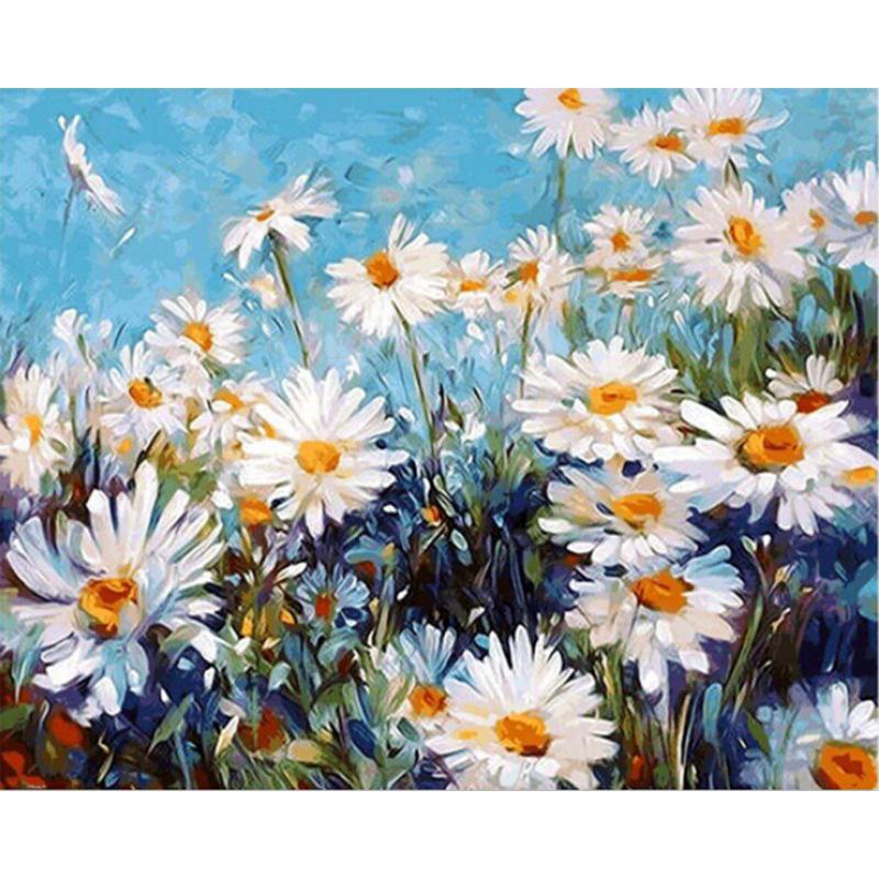 White Daisies - DIY Painting By Numbers Kit