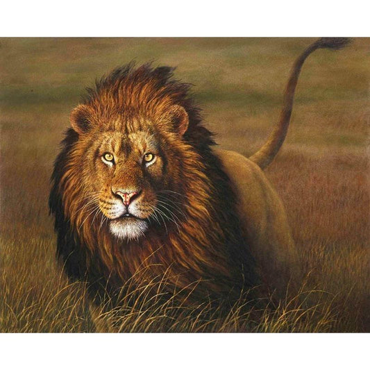 King of the Jungle - DIY Painting By Numbers Kits