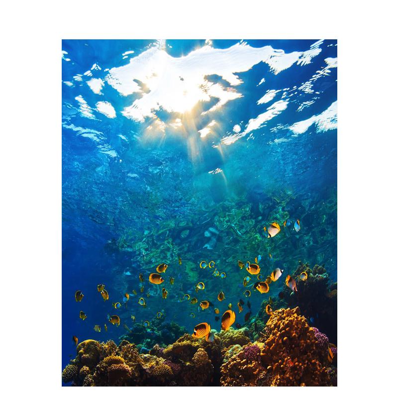 Underwater World - DIY Painting By Numbers Kit