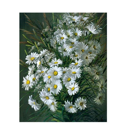 White Daisies Flowers - DIY Painting By Numbers Kit