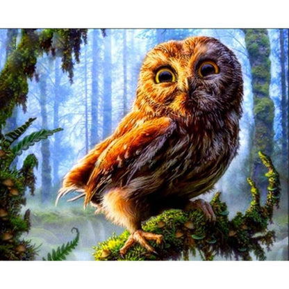 Baby Owl - DIY Painting By Numbers Kit