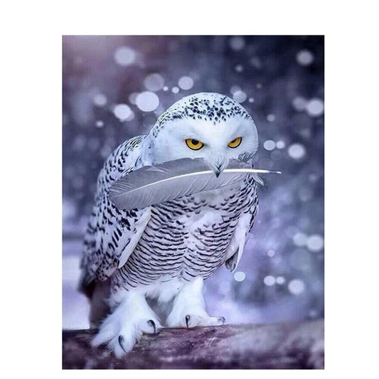 White Snow Owl - DIY Painting By Numbers Kit