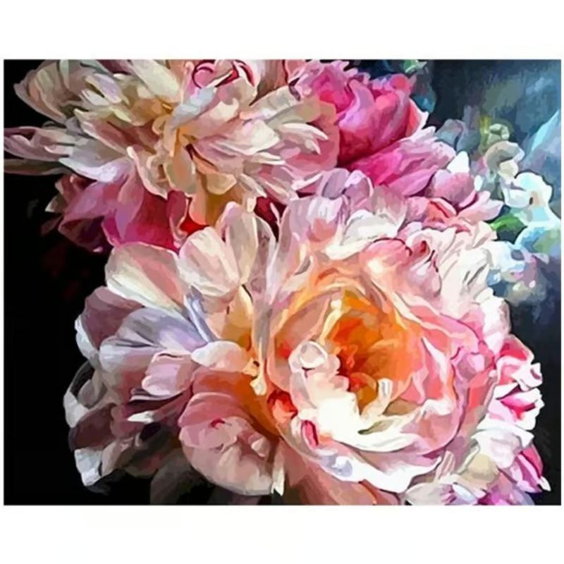 Bouquet Of Pink Peonies - DIY Painting By Numbers Kit