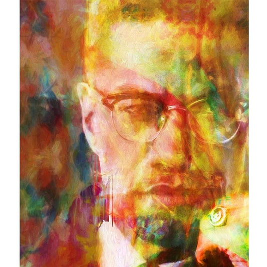 Malcolm X in Watercolor - Dan Sproul DIY Painting By Numbers Kit